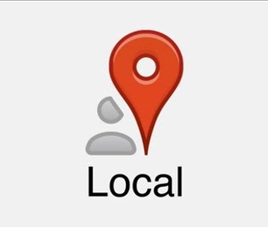 Google Plus local logo
